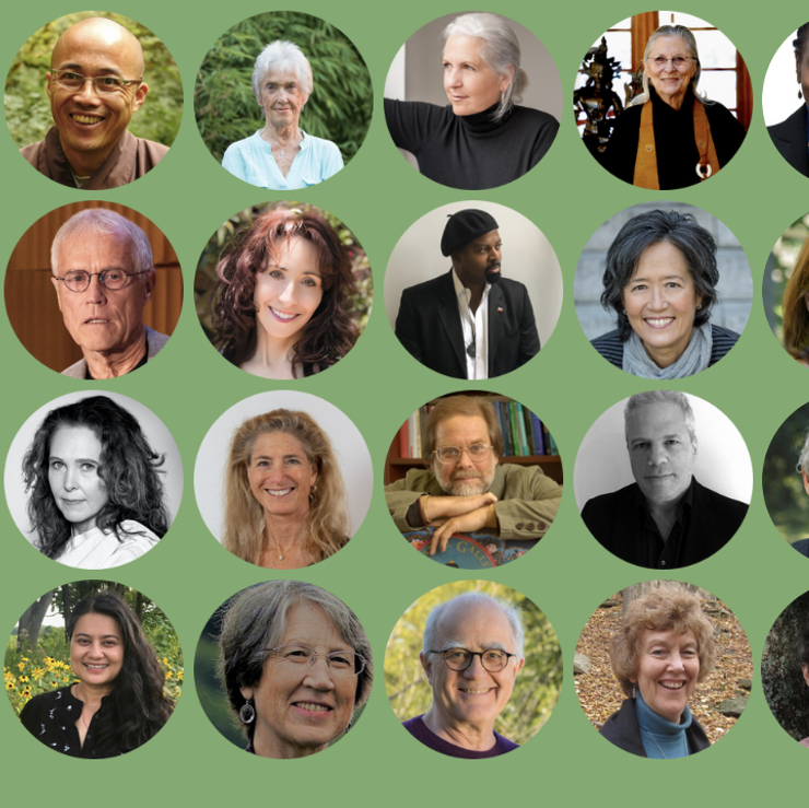 Buddhist Ecology Summit Speaker Graphic Screenshot