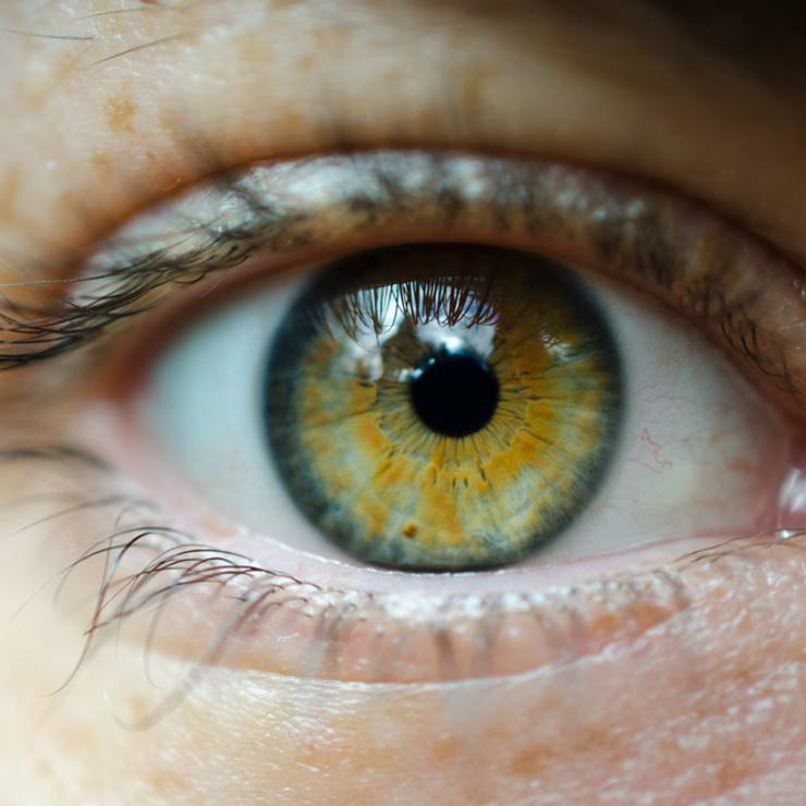 Photo of child's eye by David Gabriel Fischer via Flickr
