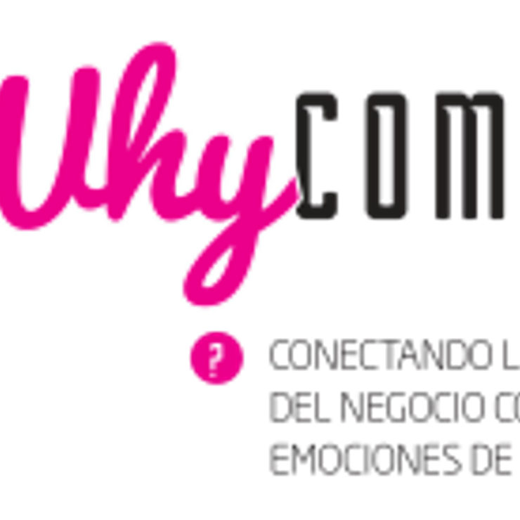 The Why Company