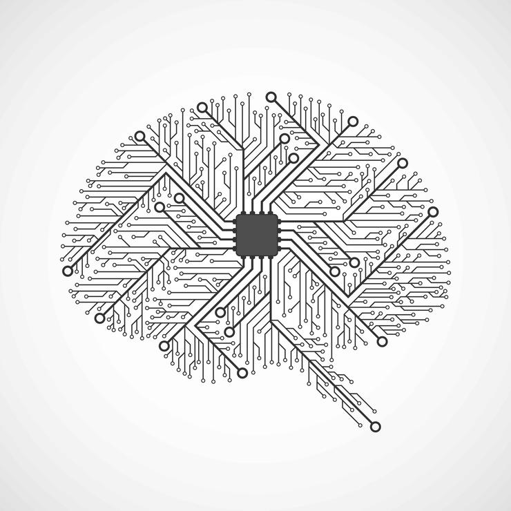 Brain Circuits Illustration Samarets1984 I Stock