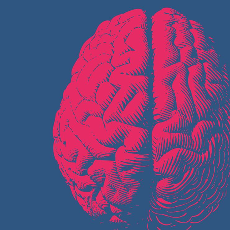 Brain Illustration Web